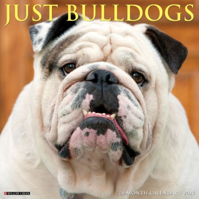 Bulldogs 2027 Wall
