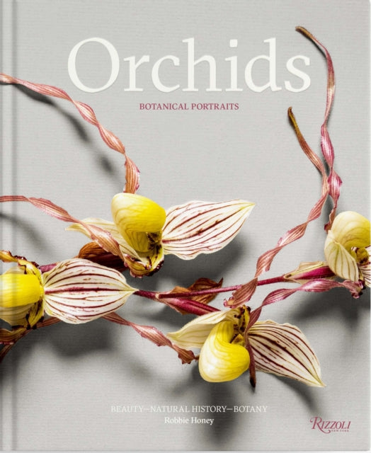 Orchids: Botanical Portraits