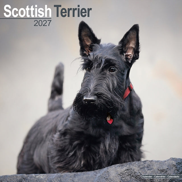Scottish Terrier Wall