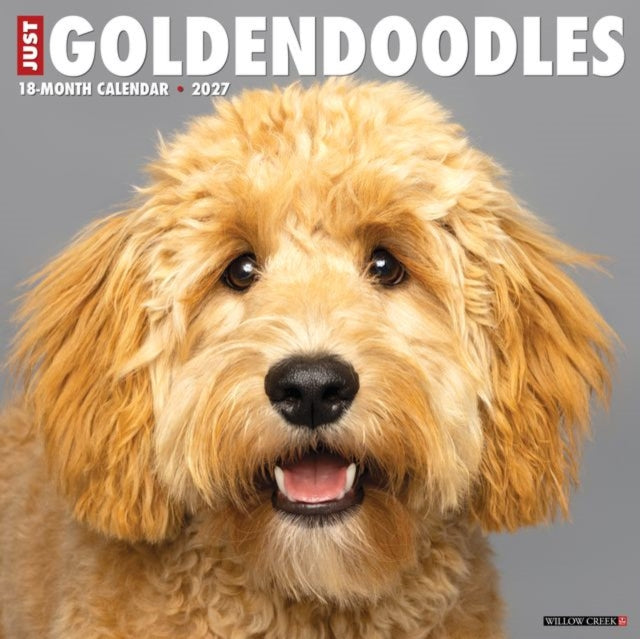 Goldendoodles 2027 Wall