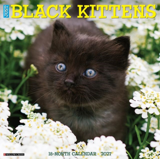 Black Kittens 2027 Wall