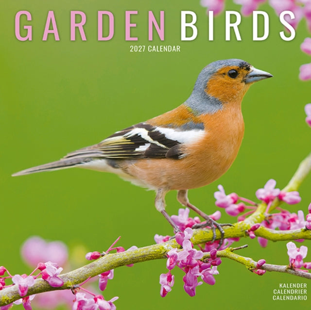 Garden Birds