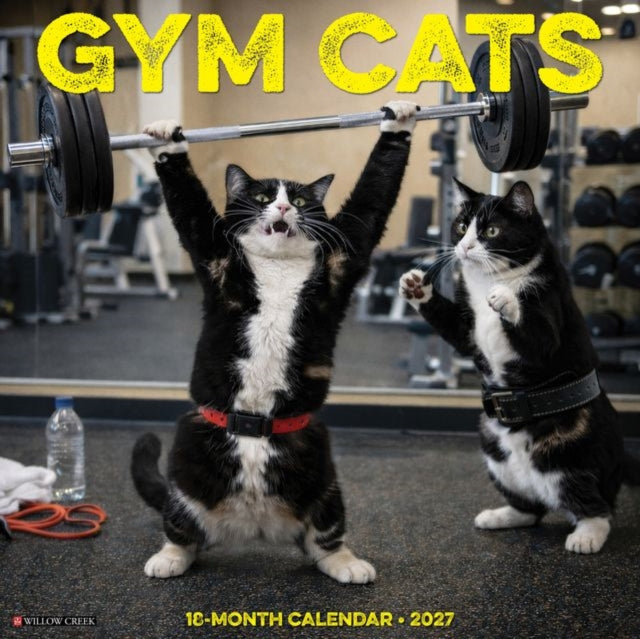 Gym Cats 2027 Wall