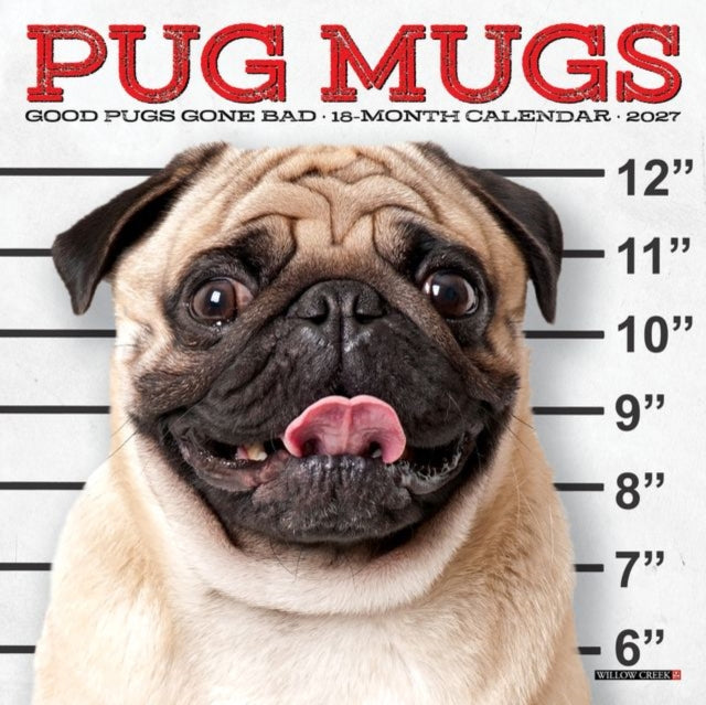 Pug Mugs 2027 Mini