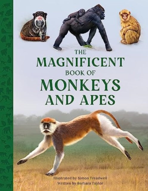 Magnificent Book of Monkeys and Apes
