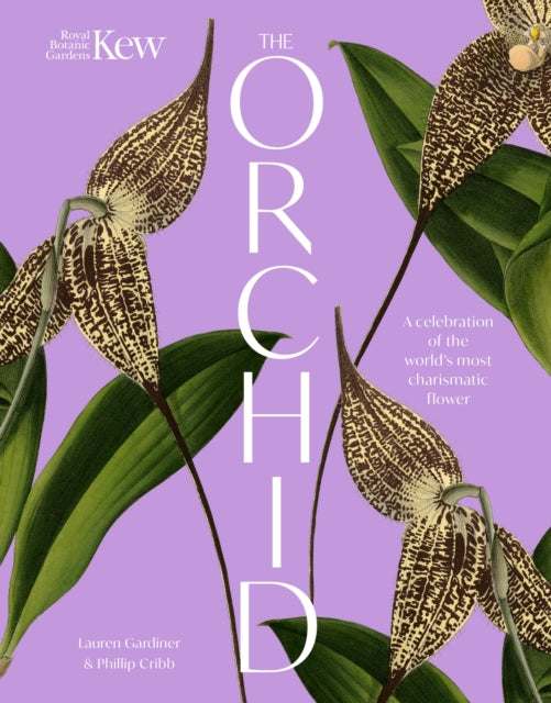 Orchid: Royal Botanic Gardens, Kew