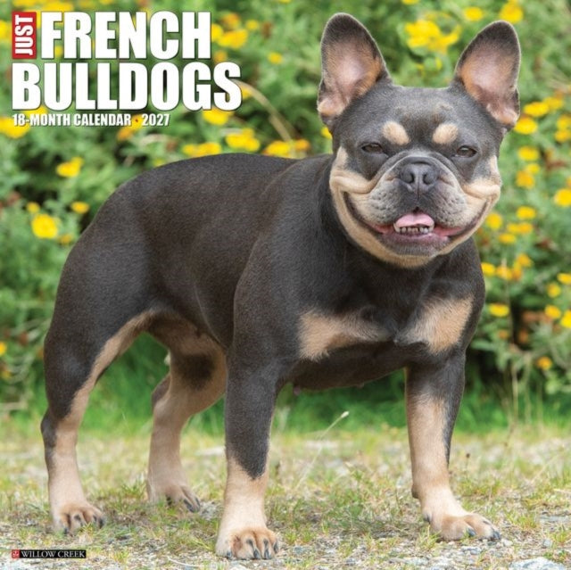 French Bulldogs 2027 Wall