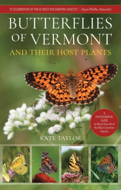 Butterflies of Vermont
