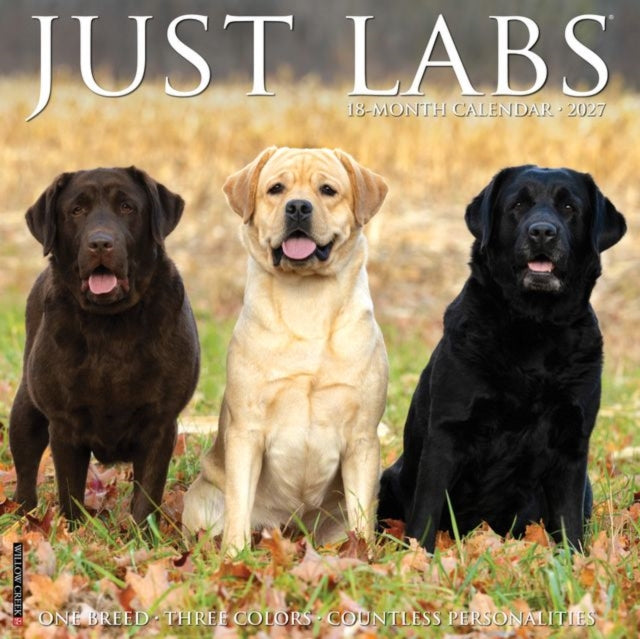 Labs 2027 Wall