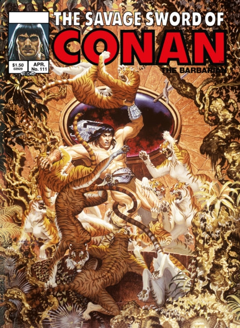 Savage Sword Of Conan: The Original Comics Omnibus Vol.8