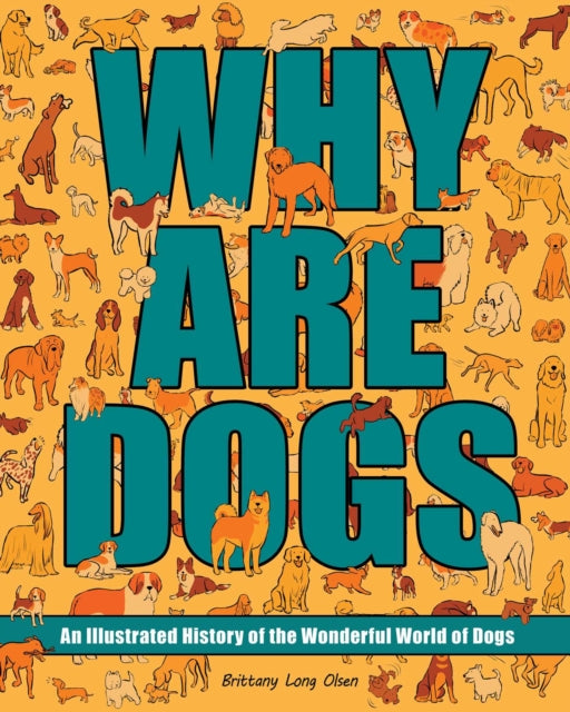 Why Are Dogs