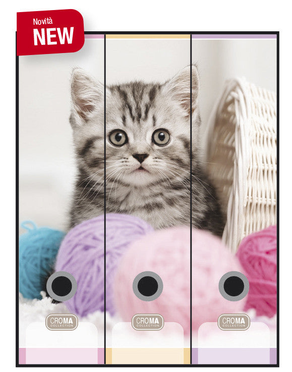 Set 3 rinčnih map A4 Croma 3/1, Muca