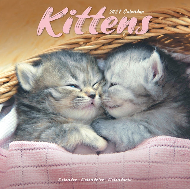 Kittens