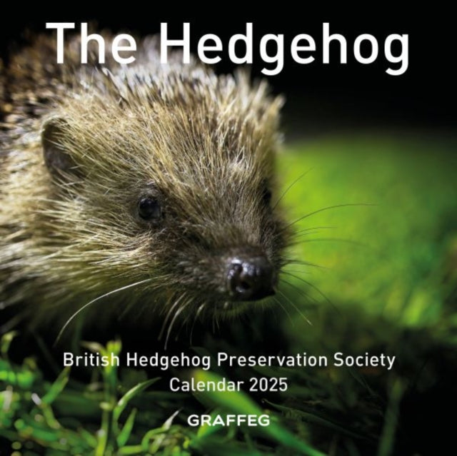 The Hedgehog Calendar 2025