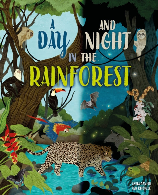 Day and Night: In a Rainforest