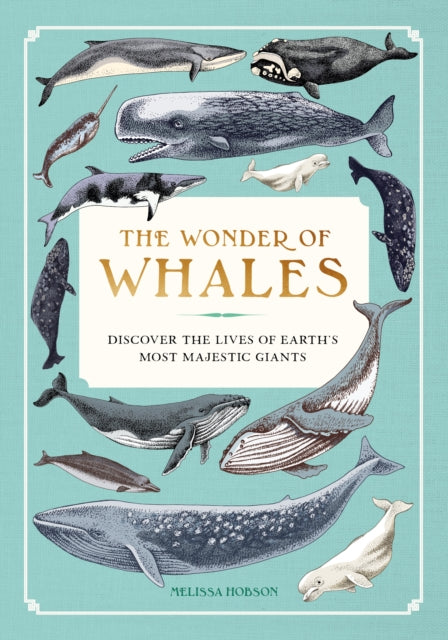 Wonder of Whales