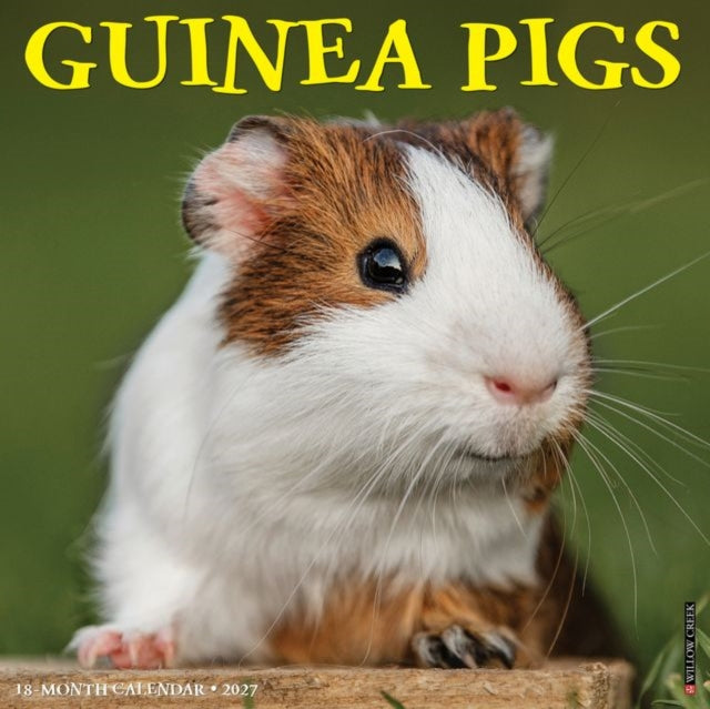 Guinea Pigs 2027 Wall