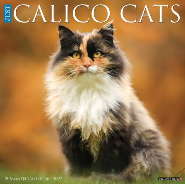 Calico Cats 2027 Wall