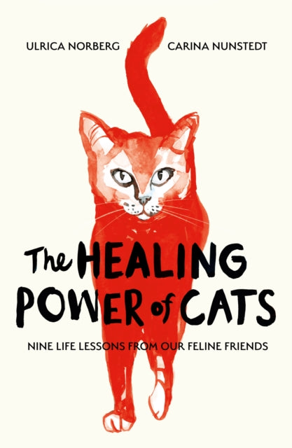 Healing Power of Cats