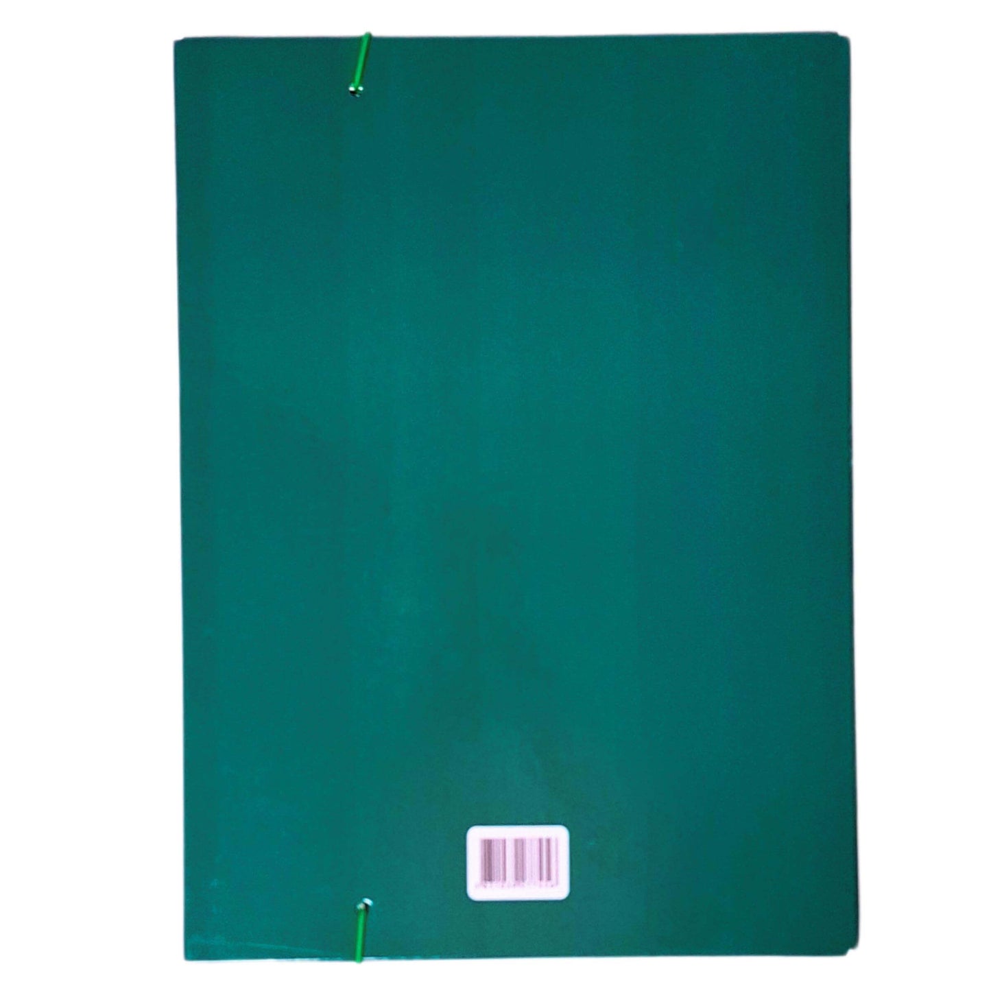 Mapa s klapo in elastiko Axis, A4/10mm, zelena