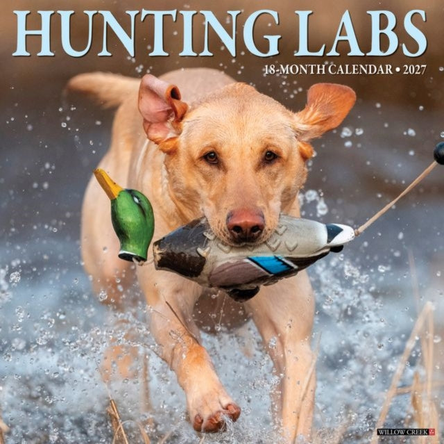 Hunting Labs 2027 Wall