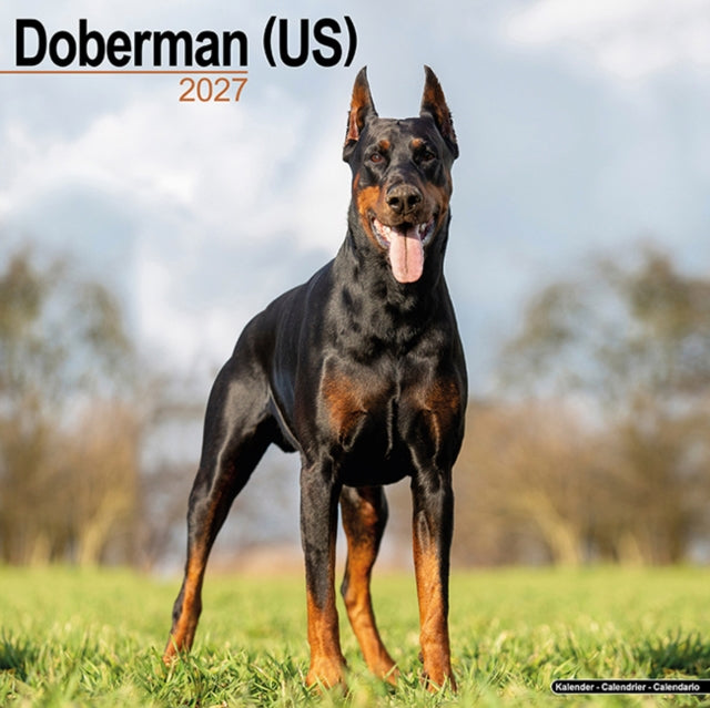 Doberman Us
