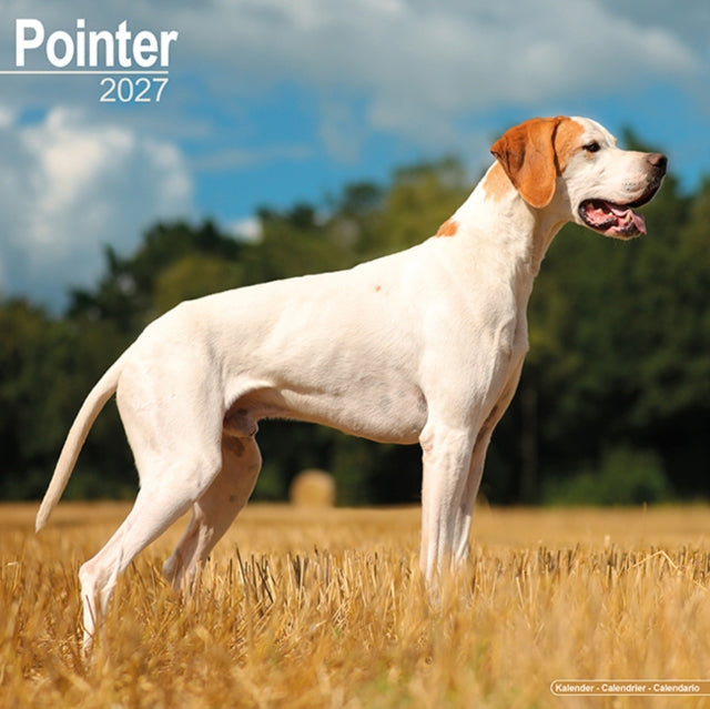 Pointer