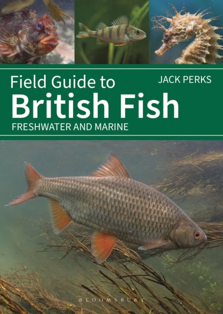 Field Guide to British Fish