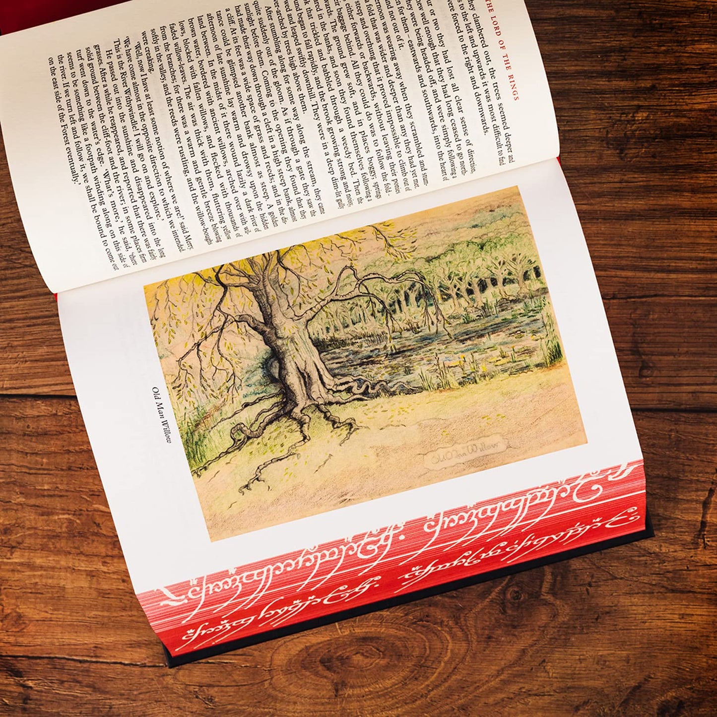 The Lord Of The Rings (Illustrated Edition)