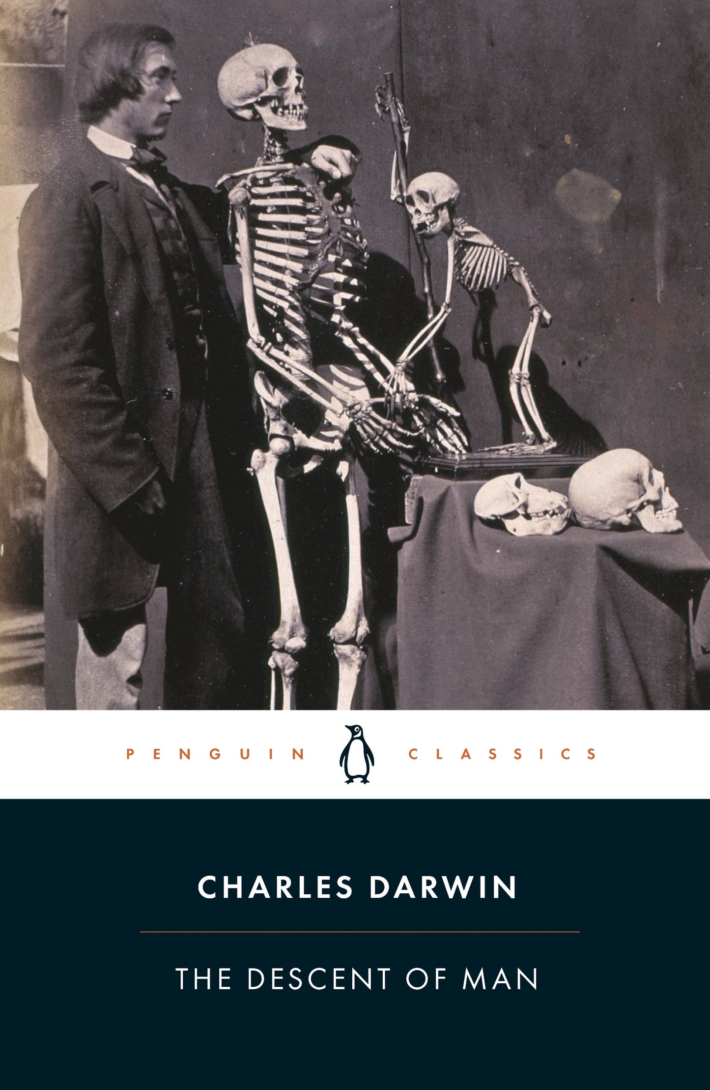 The Descent of Man (Penguin Classics)