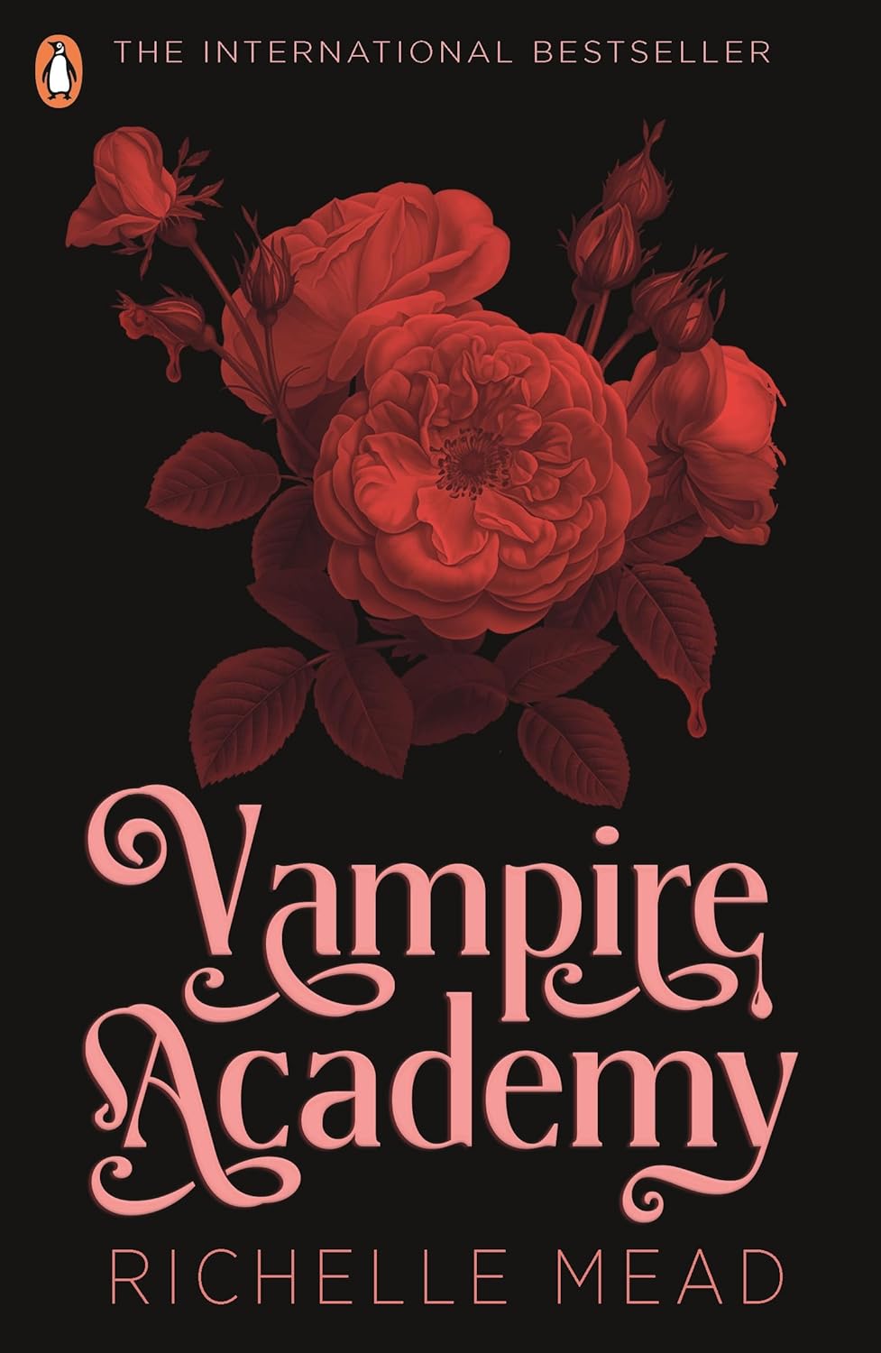Vampire Academy (Vampire Academy 1)