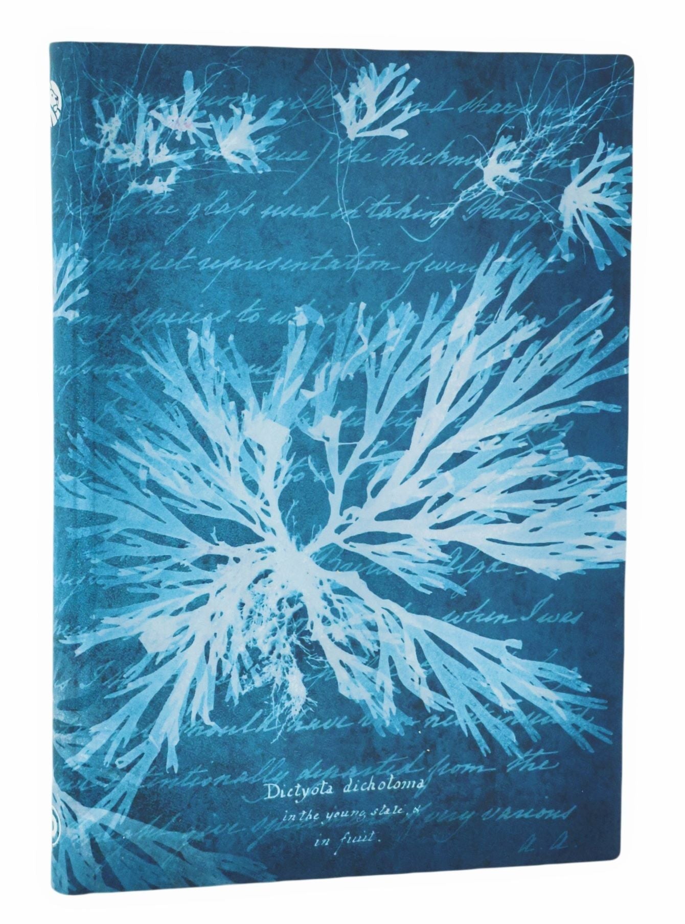 Blok Paperblanks "Sea Flowers", midi, črtani