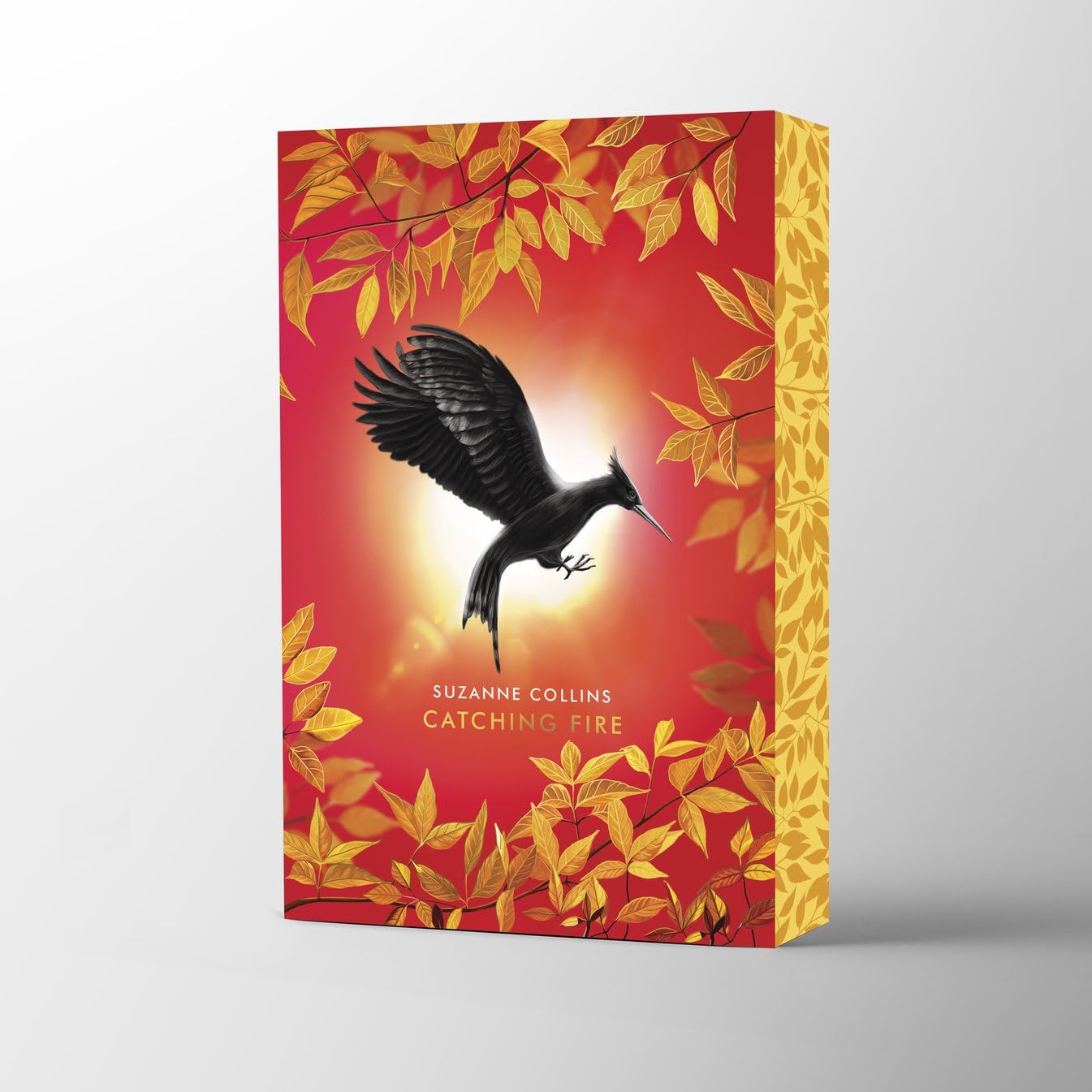 Catching Fire Deluxe Paperback