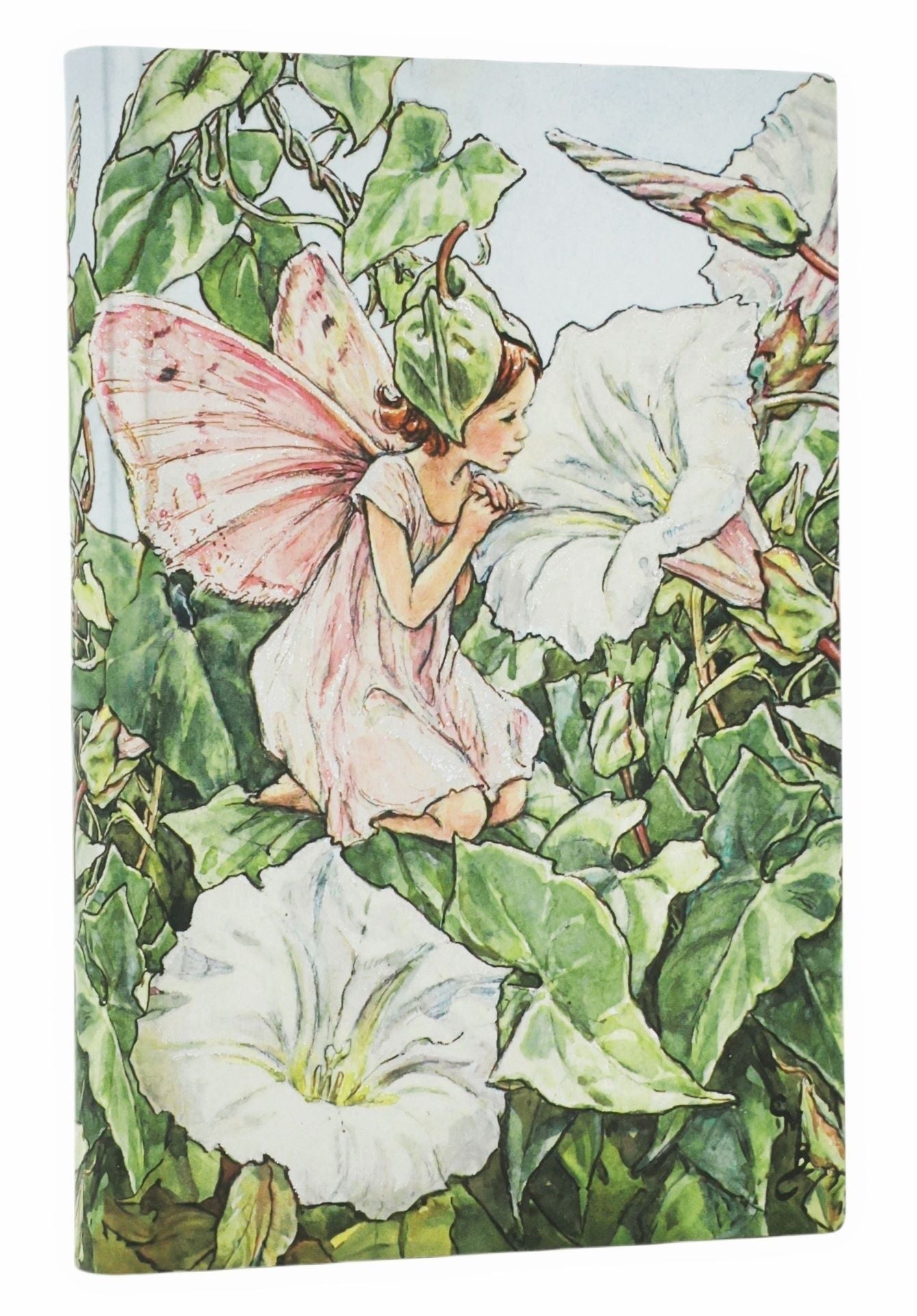 Blok Paperblanks "Bindweed Fairy", mini, črtani