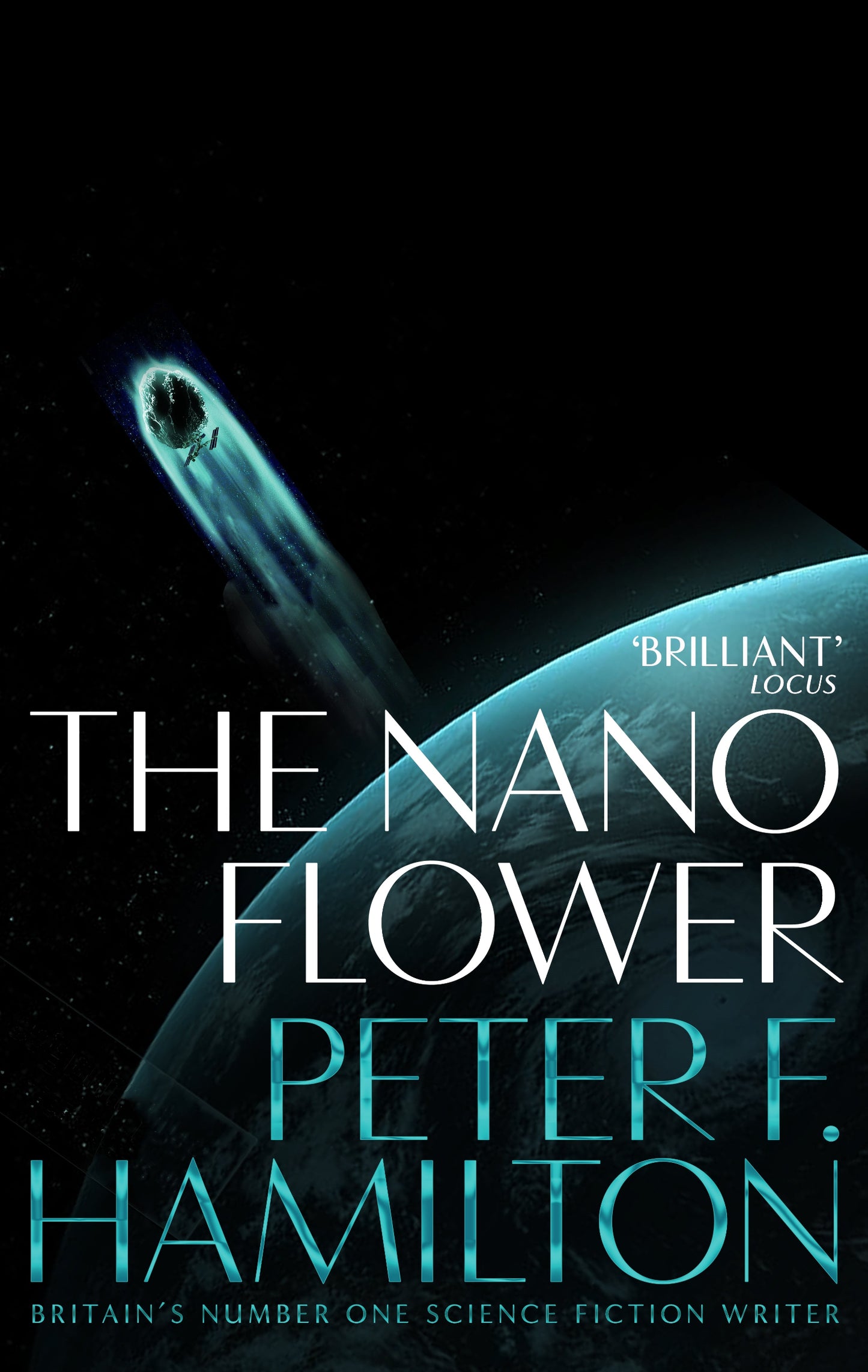 The Nano Flower: The Mandel Files 3