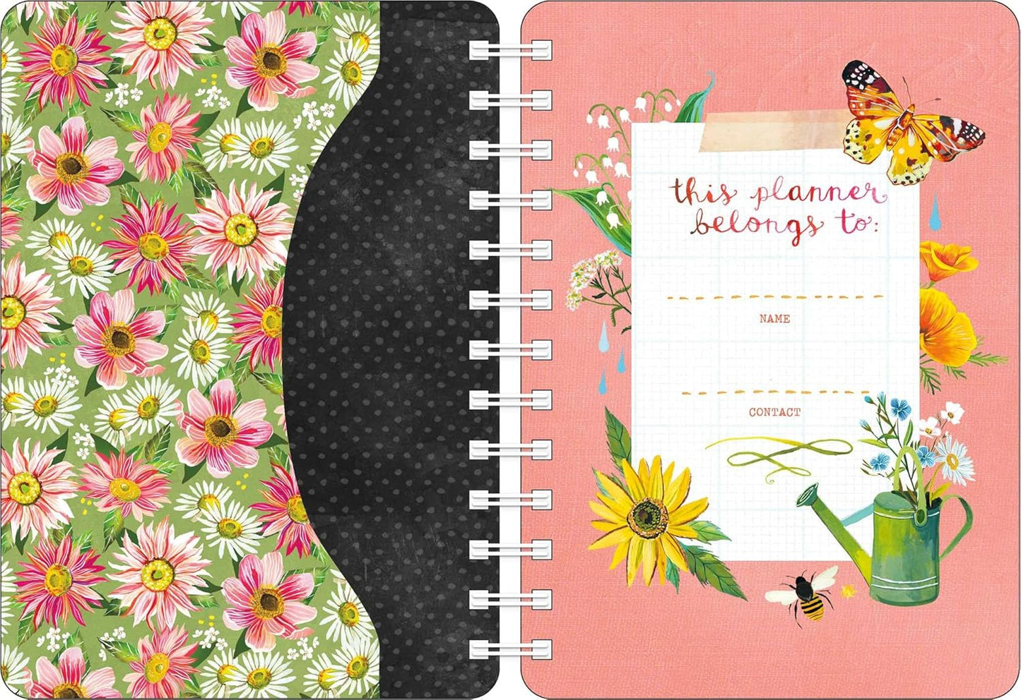 Katie Daisy 2026 Weekly Planner Calendar