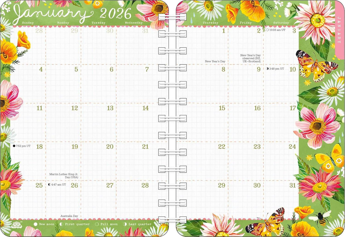Katie Daisy 2026 Weekly Planner Calendar