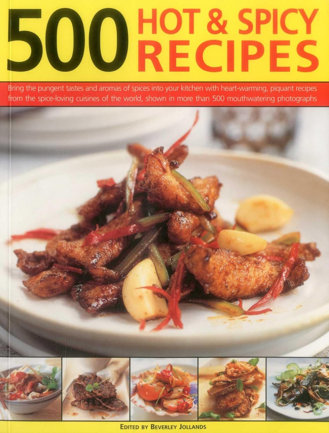 500 Hot & Spicy Recipes