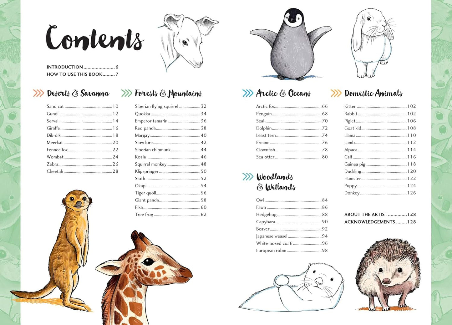 10 Step Drawing: Cute Animals
