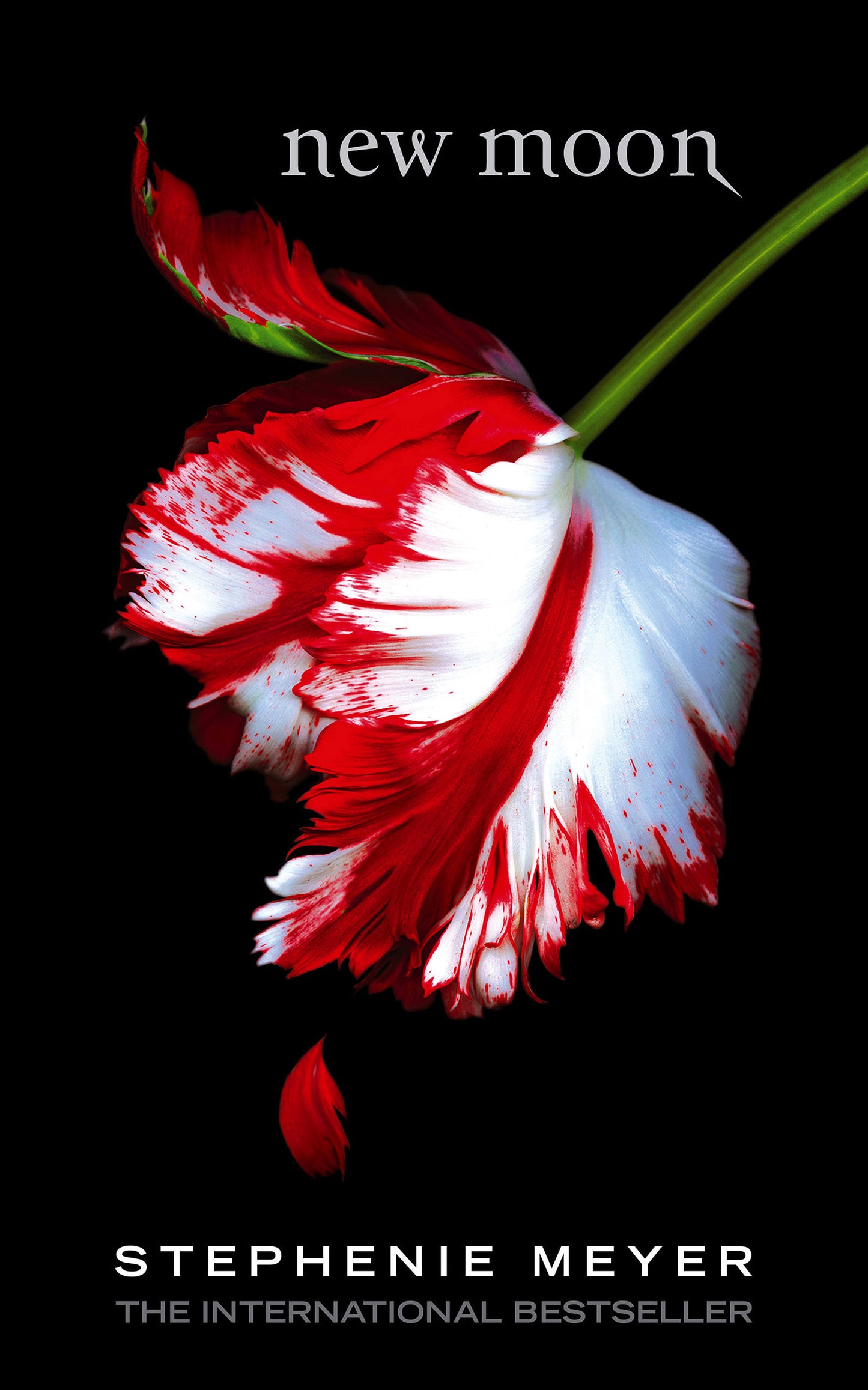 New Moon (Twilight Saga, Book 2)