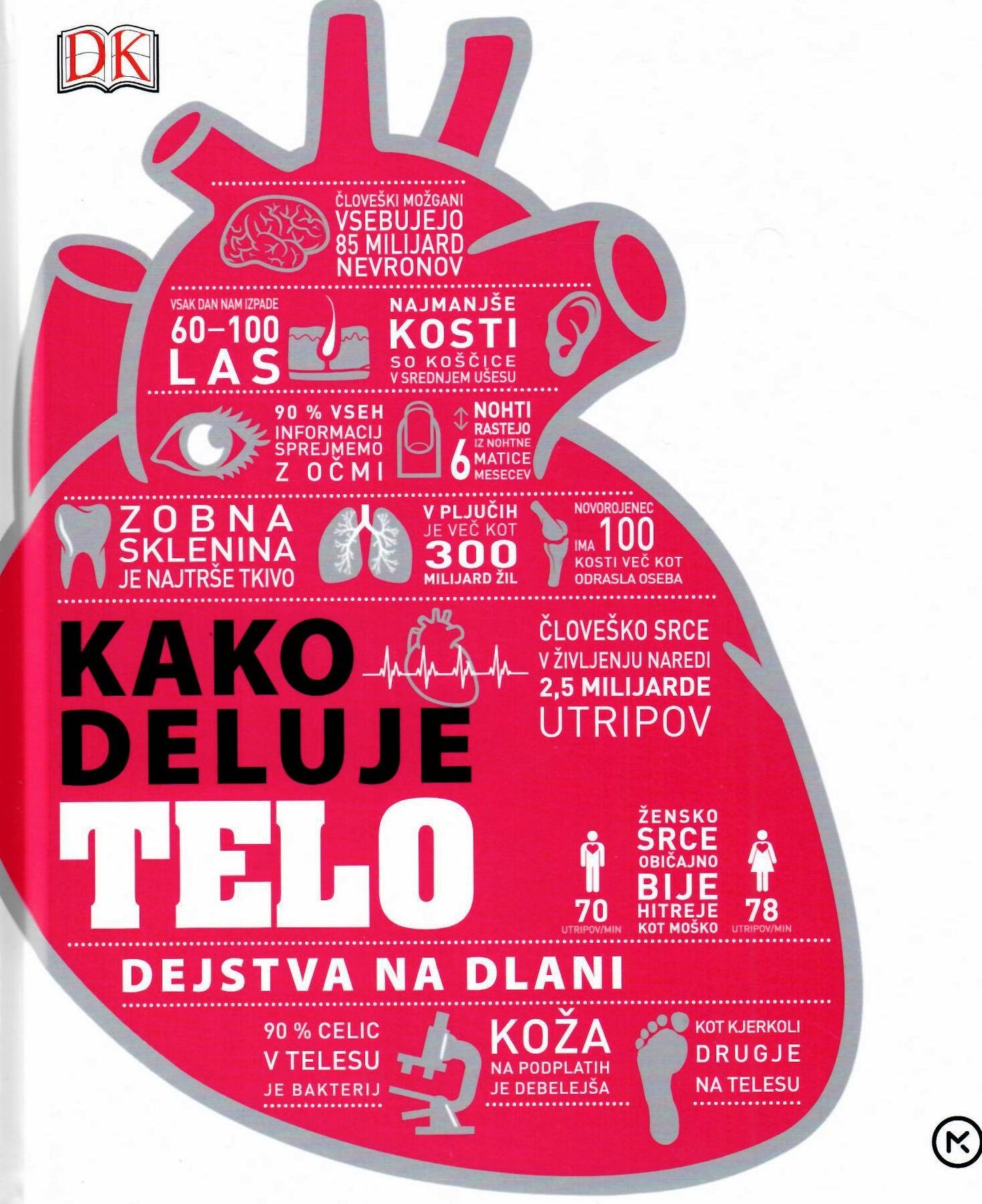 KAKO DELUJE TELO