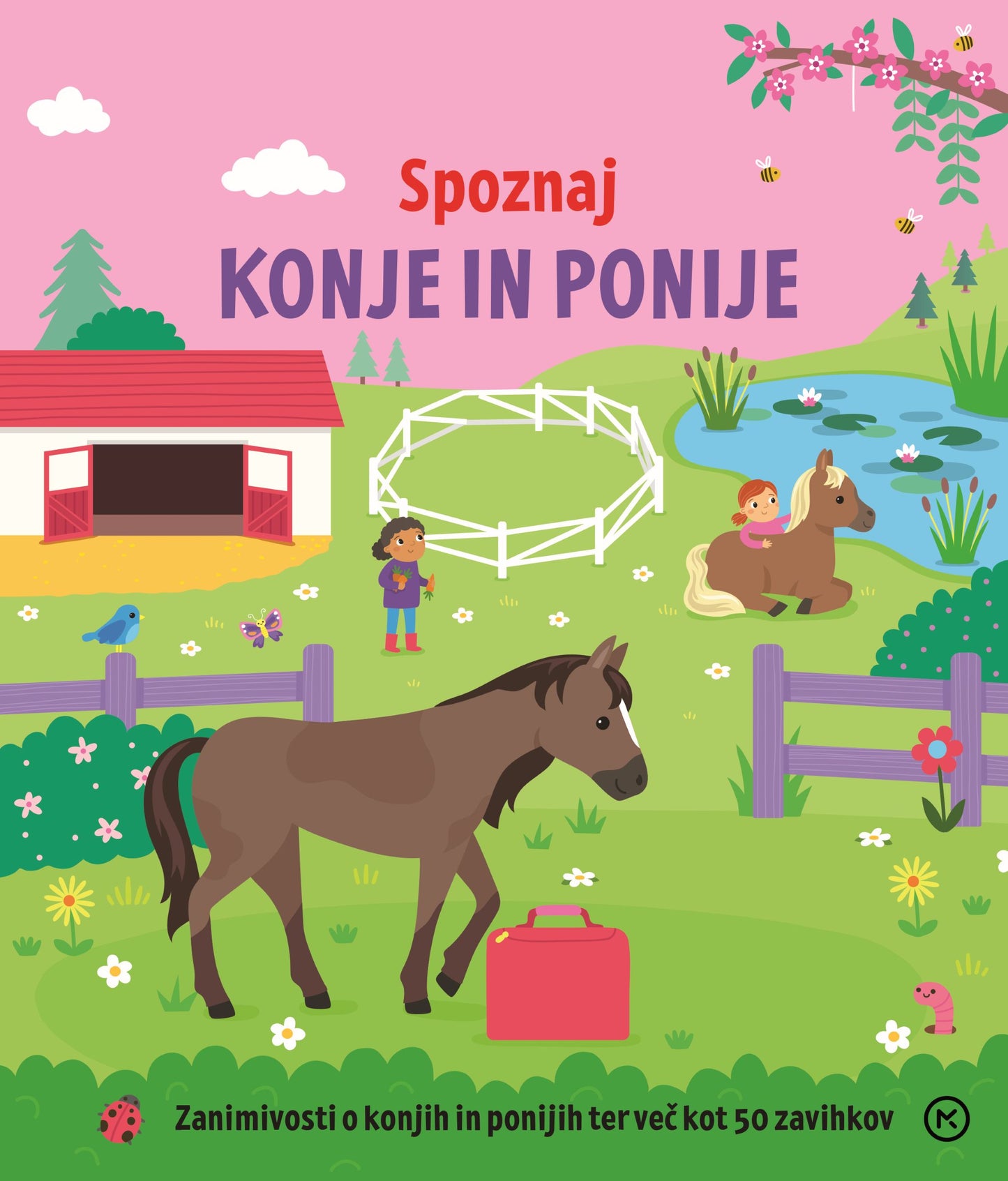 Spoznaj konje in ponije