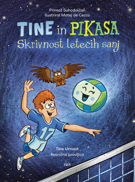 Tine in Pikasa: Skrivnost letečih sanj
