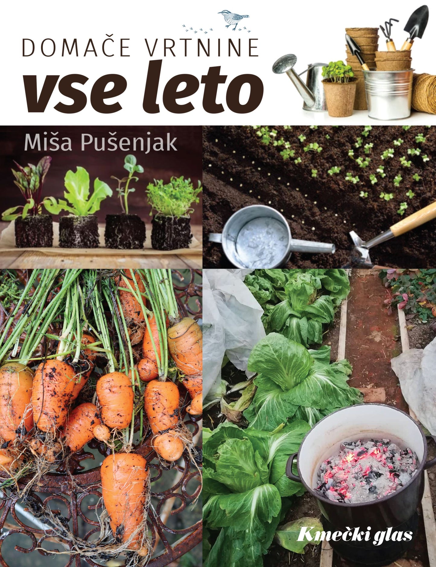Domače vrtnine vse leto