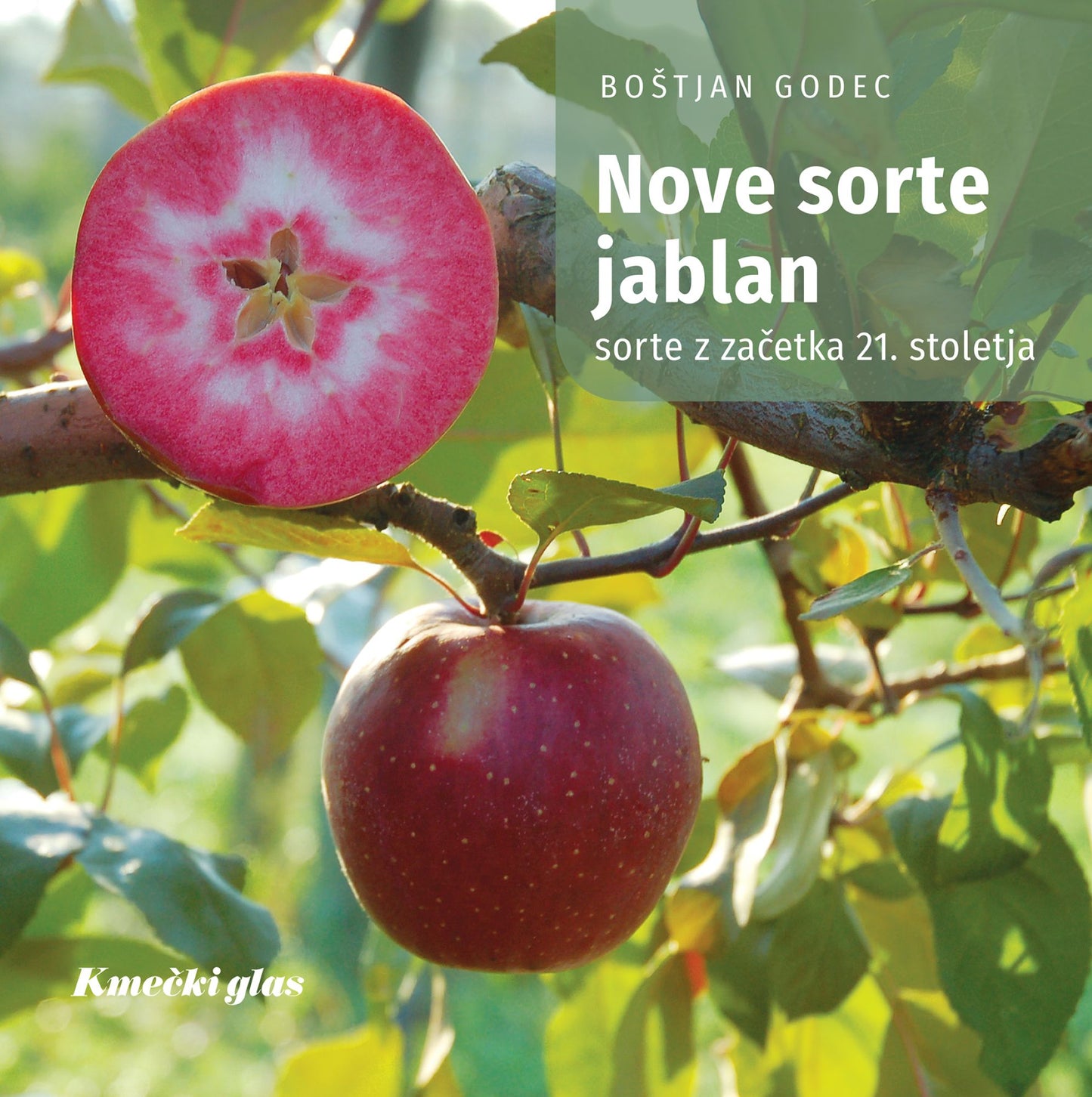 Nove sorte jablan