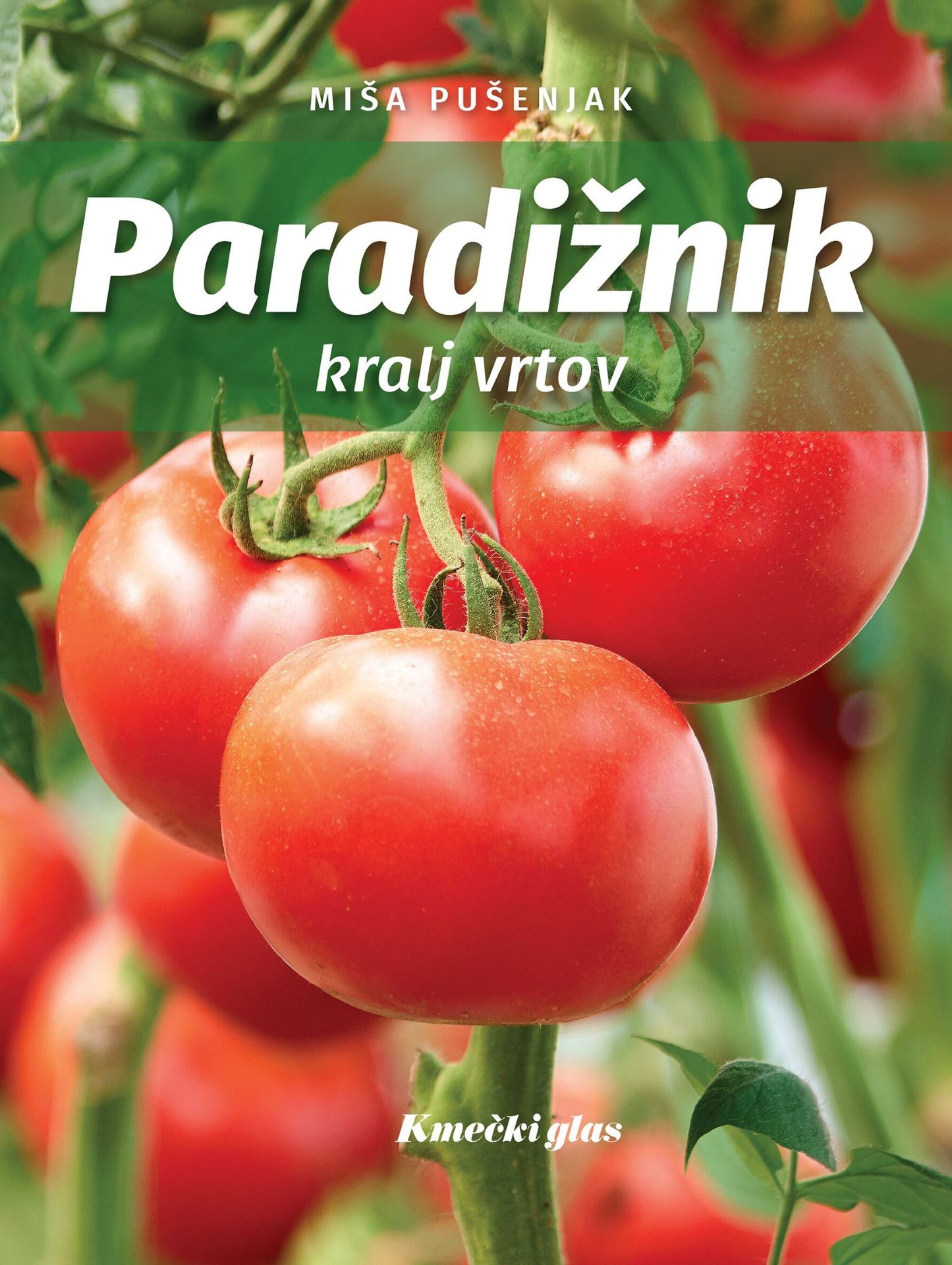 Paradižnik, kralj vrtov