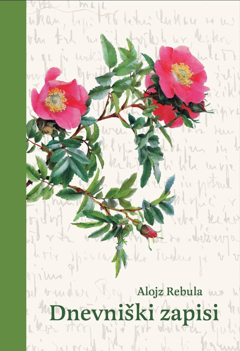 Dnevniški zapisi (1948-1954)