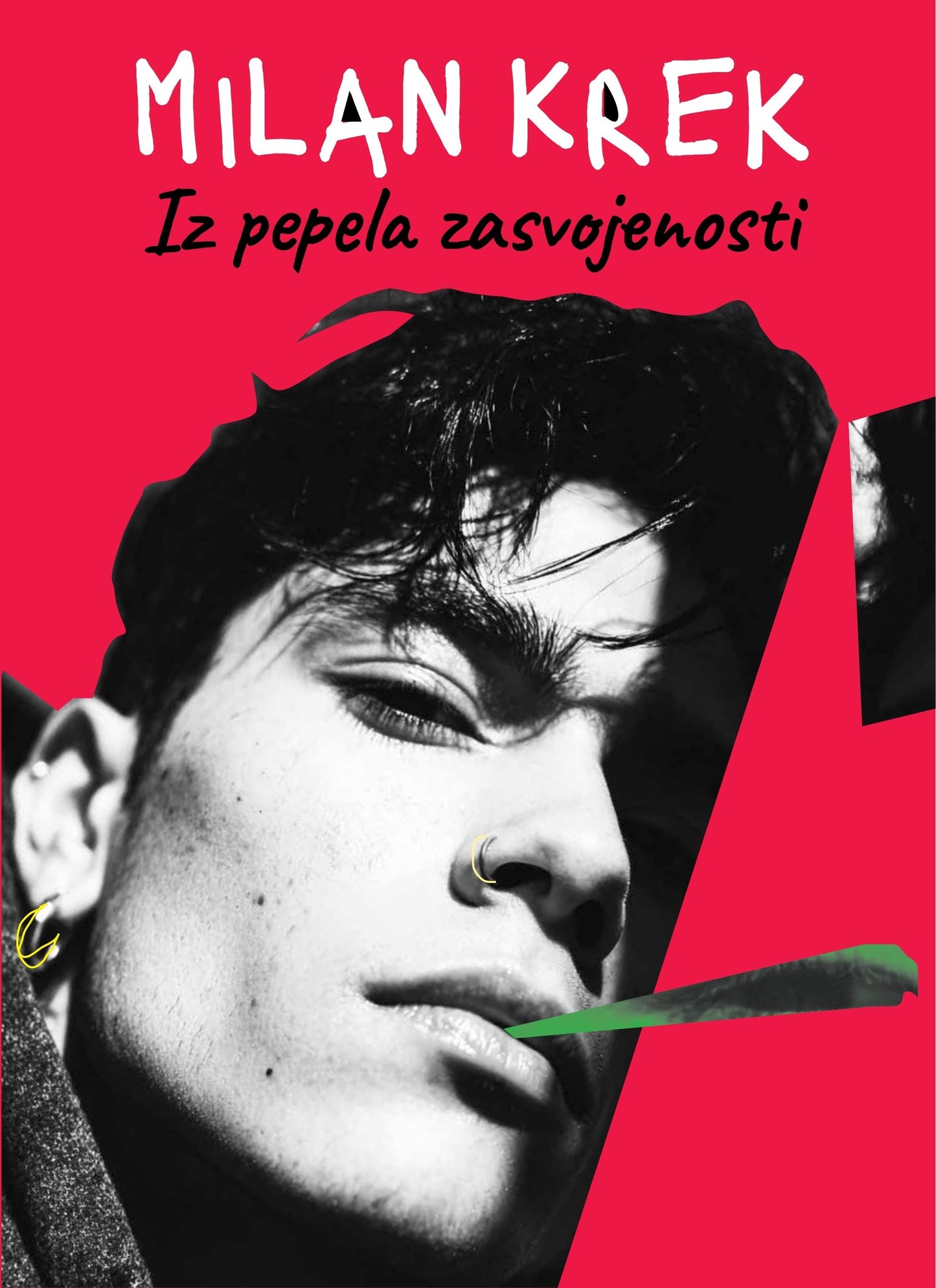 Iz pepela zasvojenosti