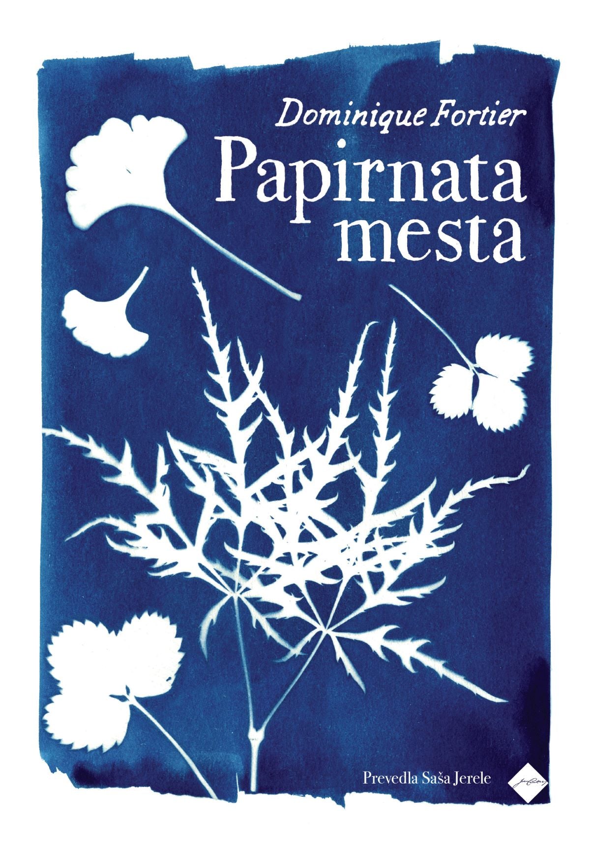 Papirnata mesta