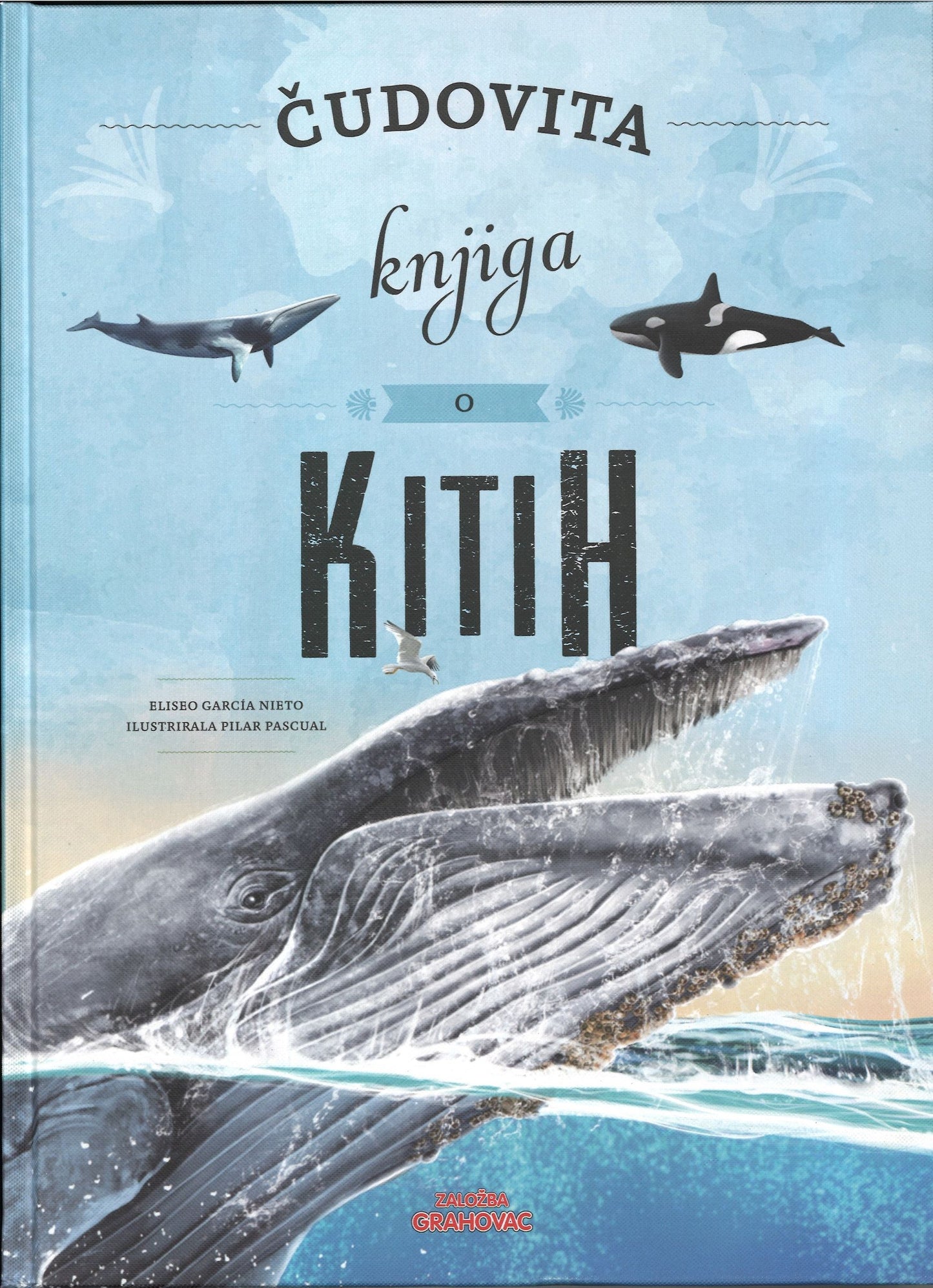 ČUDOVITA KNJIGA O KITIH